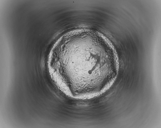 X0000112210347200908281504