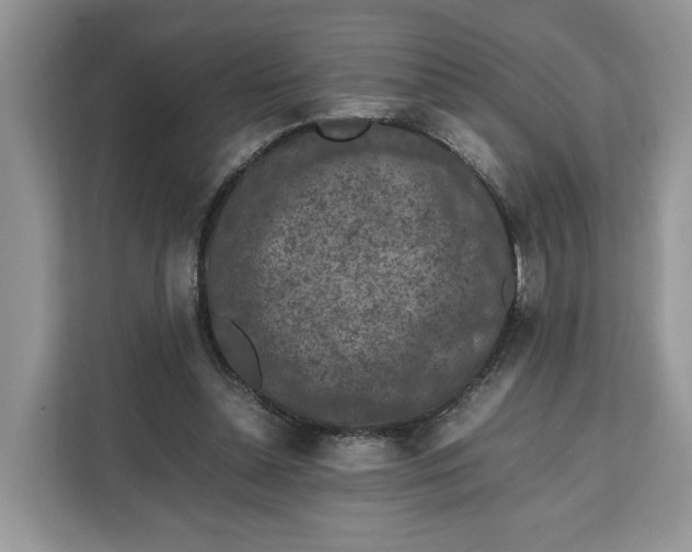 X0000112210348200908281504
