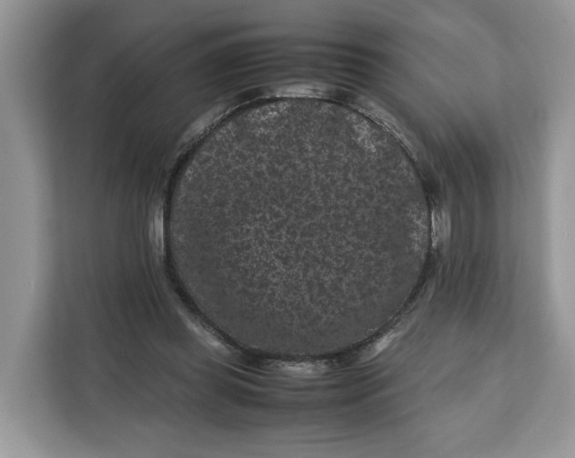X0000112210349200908281504