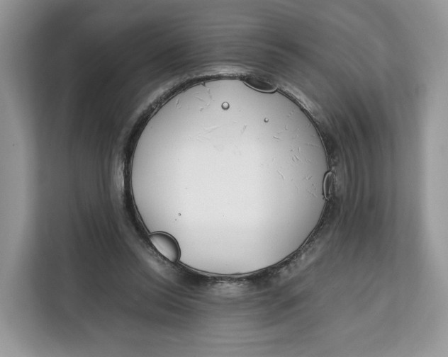 X0000112210350200908281504