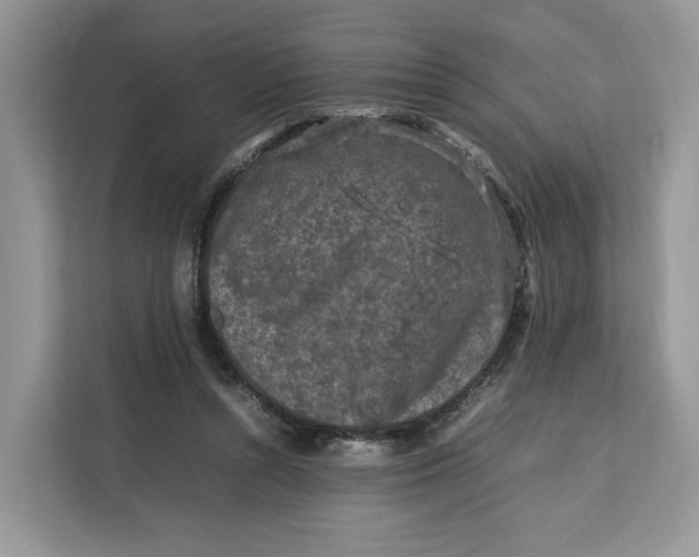 X0000112210352200908281504