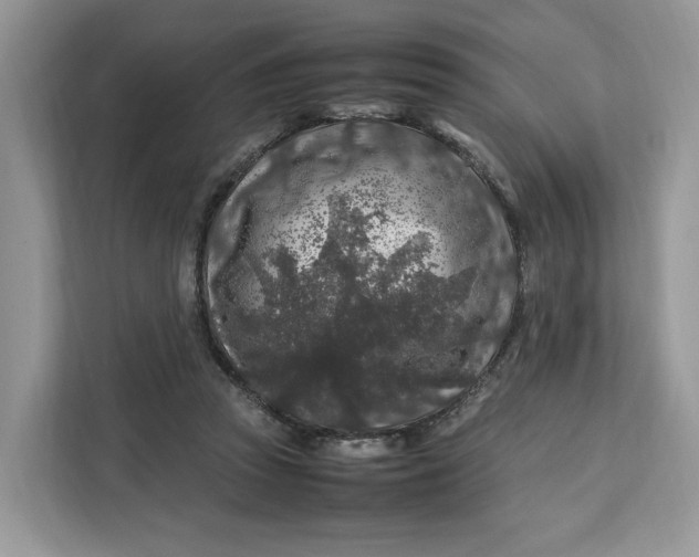 X0000112210353200908281504