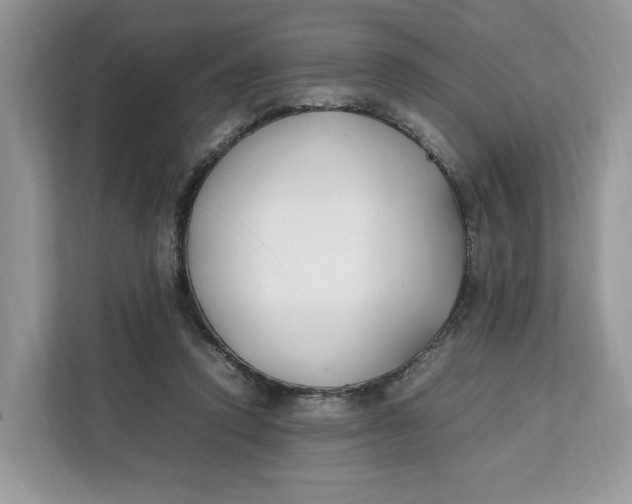 X0000112210354200908281504