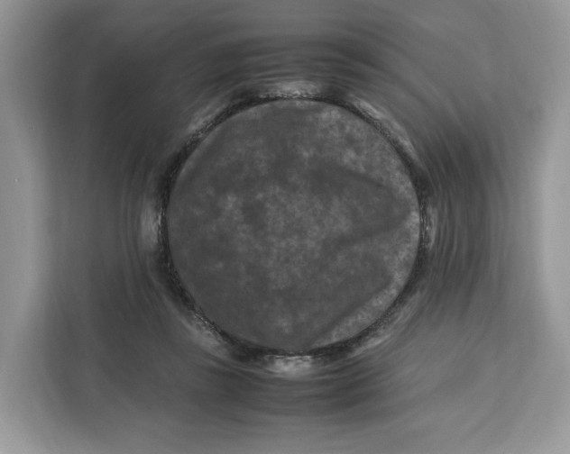 X0000112210355200908281504