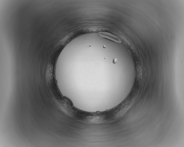 X0000112210356200908281504