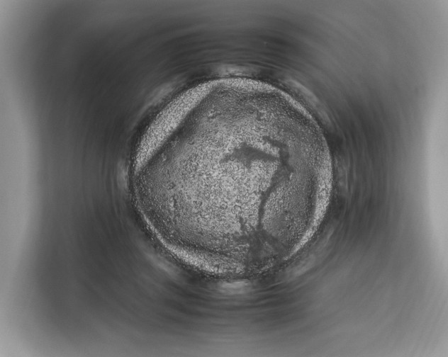 X0000112210357200908281504