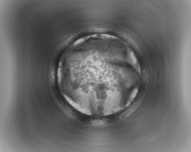 X0000112210358200908281504