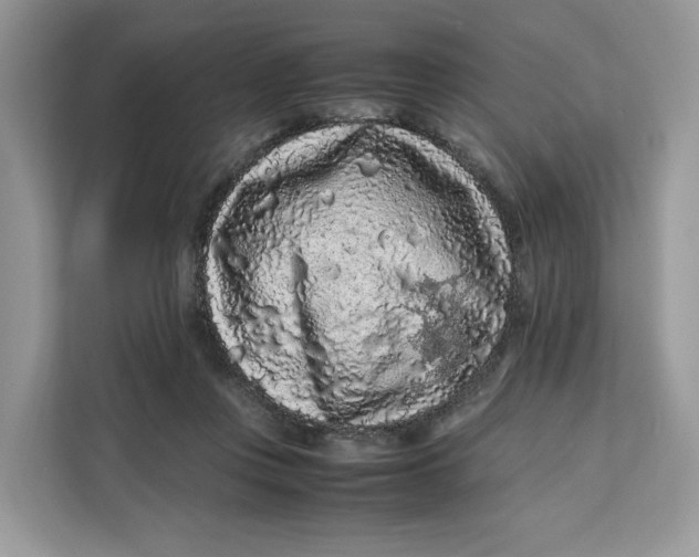 X0000112210359200908281504
