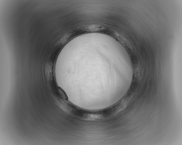 X0000112210360200908281504