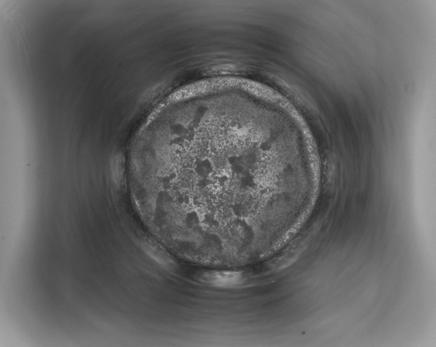 X0000112210361200908281504