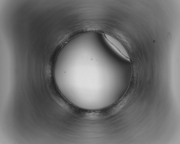 X0000112210362200908281504