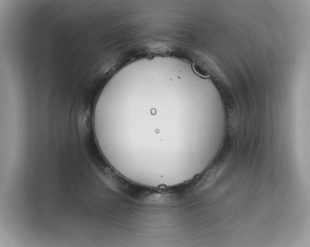 X0000112210364200908281504