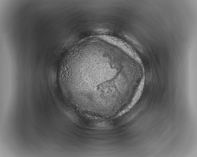 X0000112210365200908281504