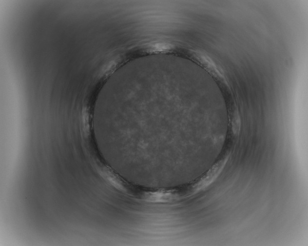 X0000112210366200908281504