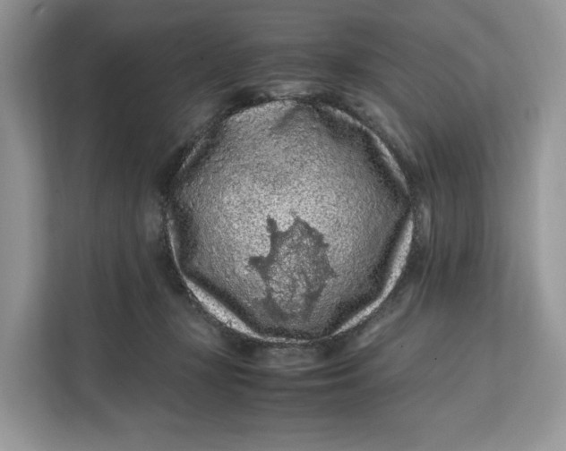 X0000112210367200908281504