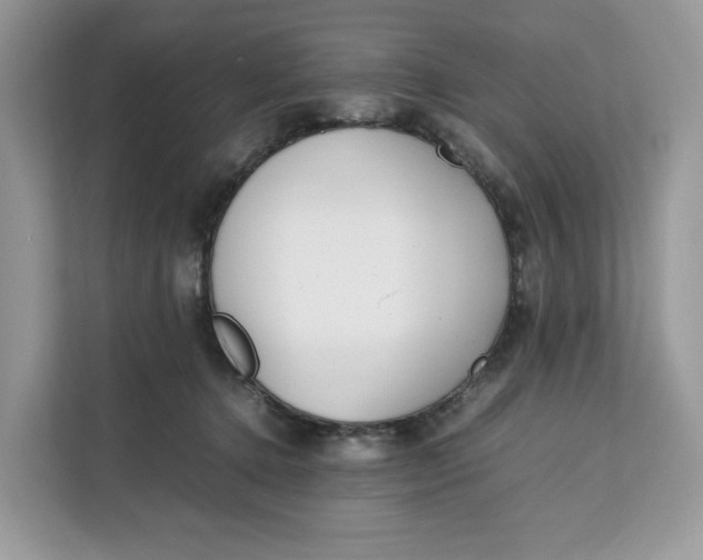 X0000112210368200908281504