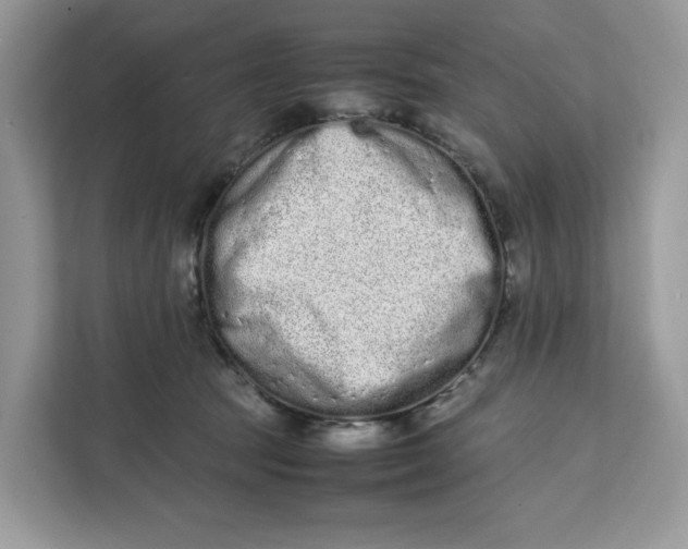 X0000112210369200908281504