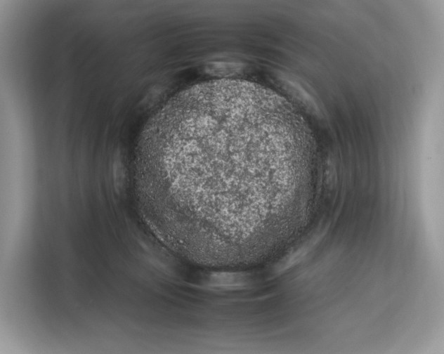 X0000112210371200908281504