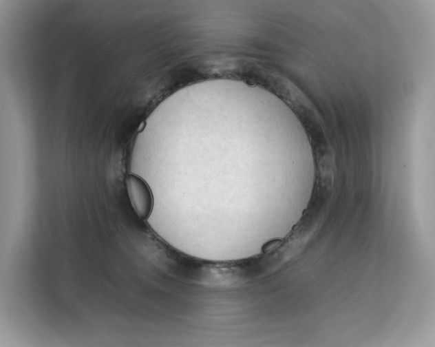 X0000112210372200908281504