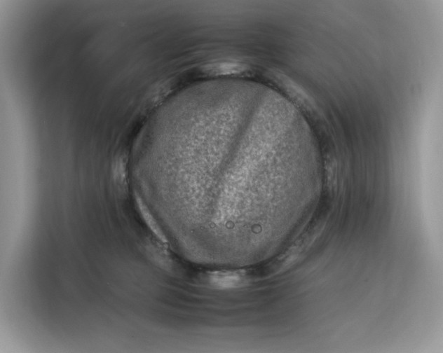 X0000112210373200908281505