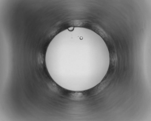 X0000112210374200908281505