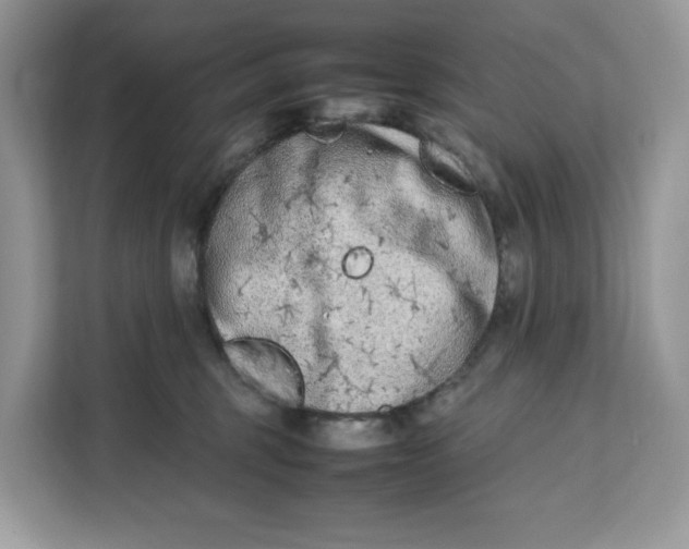 X0000112210375200908281505