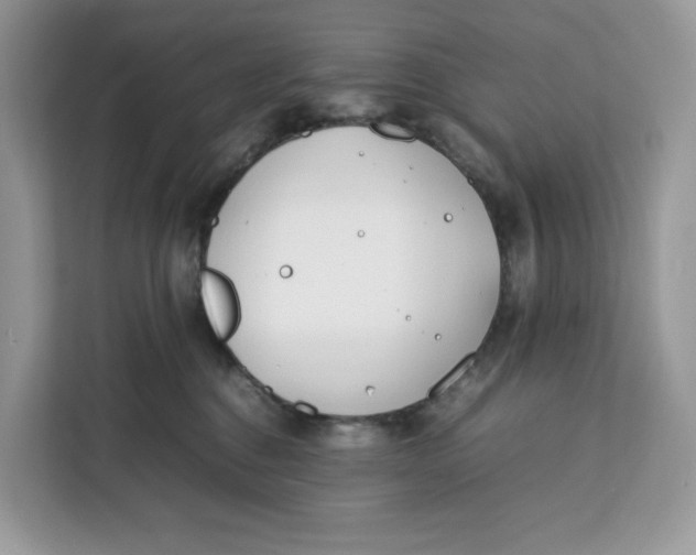 X0000112210376200908281505