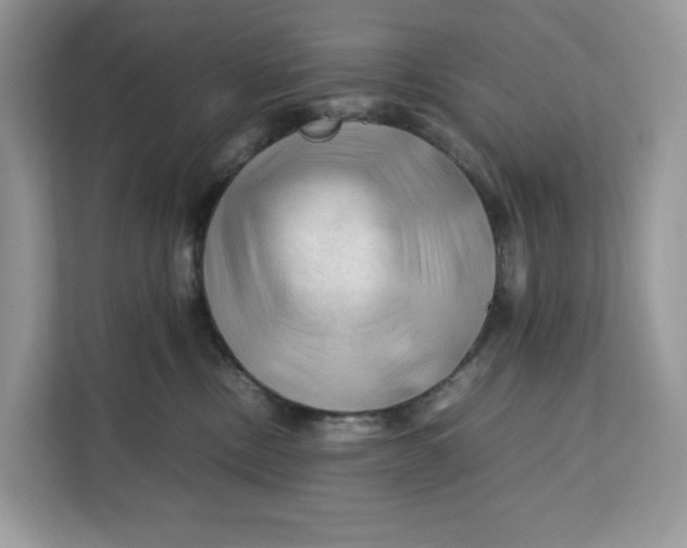 X0000112210378200908281505