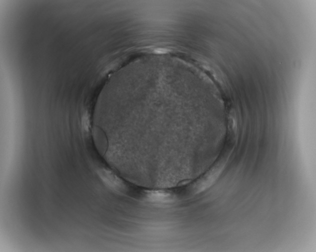 X0000112210380200908281505