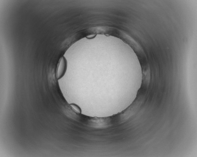 X0000112210381200908281505