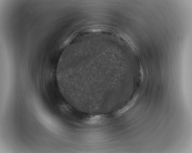 X0000112210382200908281505