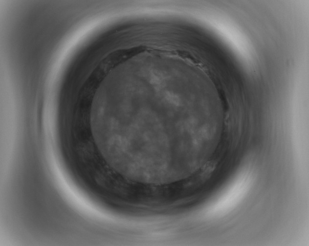 X0000112210383200908281505