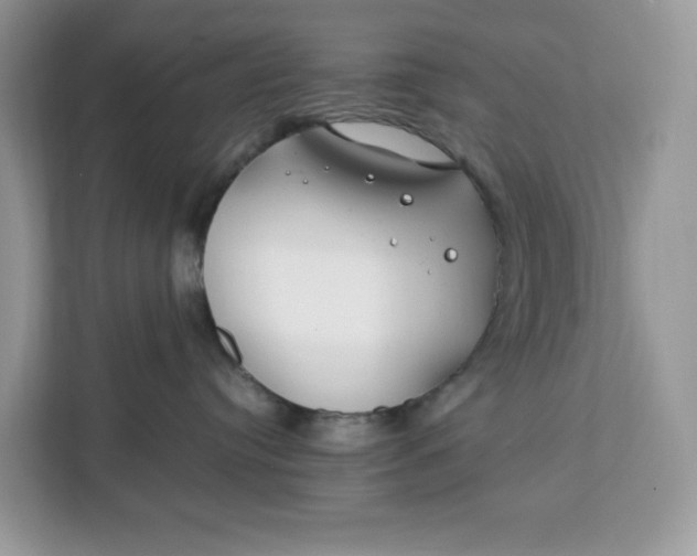 X0000112210384200908281505