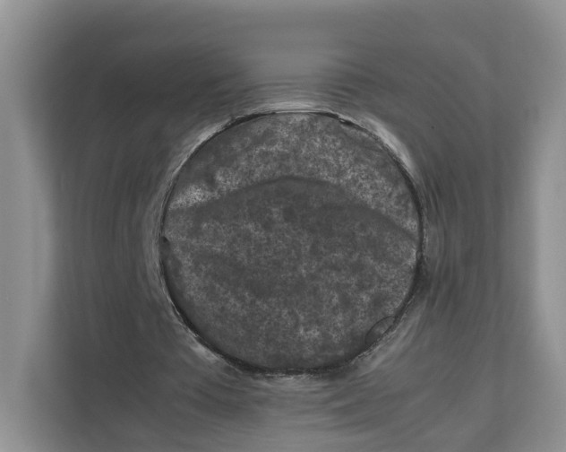 X0000112210385200908281504