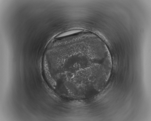 X0000112210386200908281504