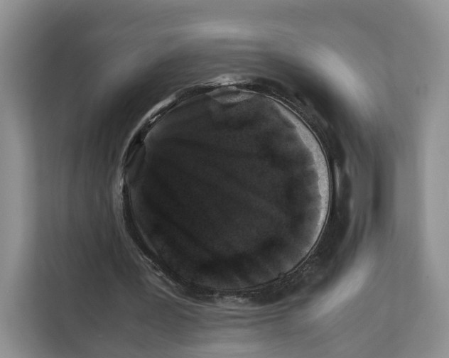 X0000112210387200908281504