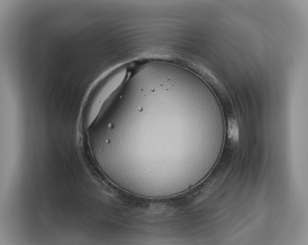 X0000112210388200908281504
