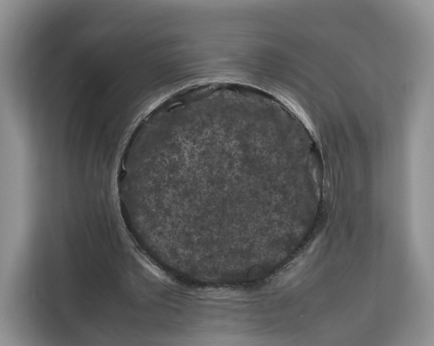 X0000112210389200908281504