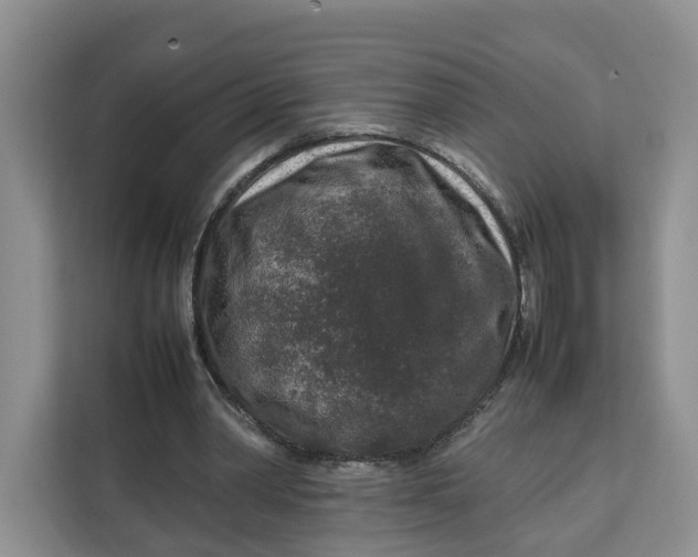 X0000112210390200908281504