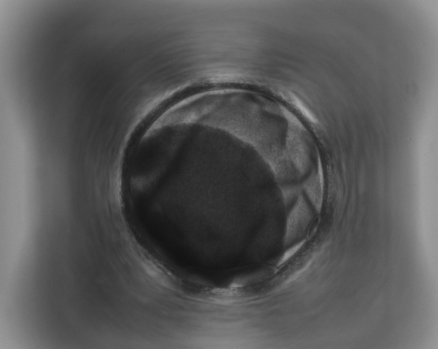 X0000112210391200908281504