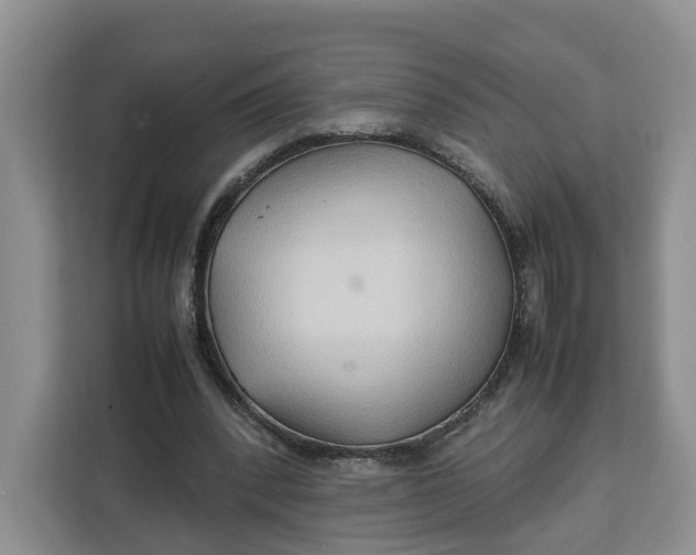 X0000112210392200908281504