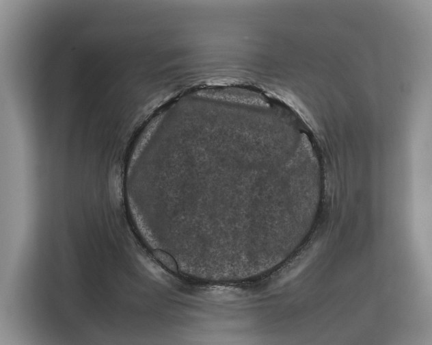 X0000112210393200908281504