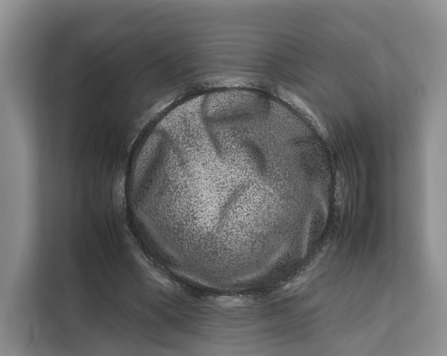 X0000112210394200908281504