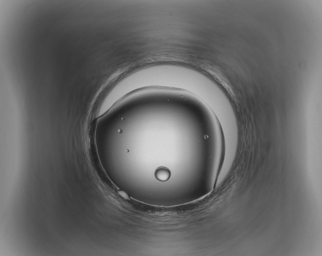 X0000112210395200908281504
