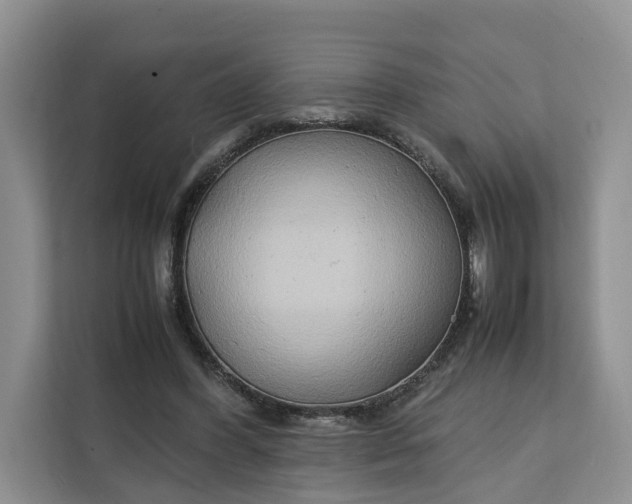 X0000112210396200908281504
