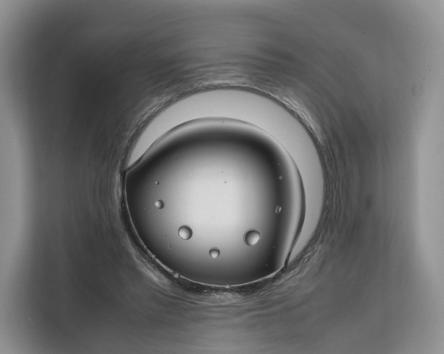 X0000112210397200908281504