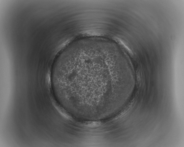 X0000112210398200908281504