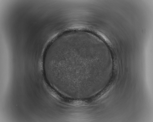 X0000112210399200908281504