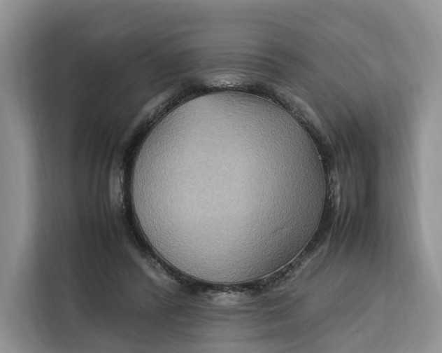 X0000112210400200908281504