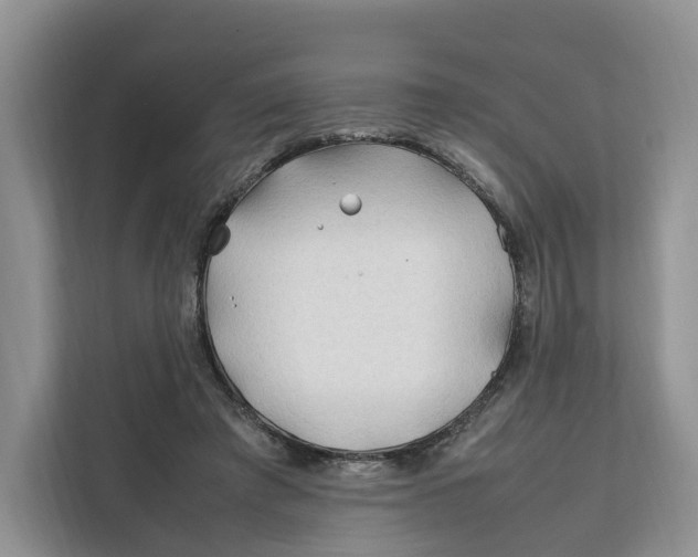 X0000112210401200908281504